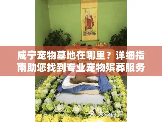 咸宁宠物墓地在哪里？详细指南助您找到专业宠物殡葬服务