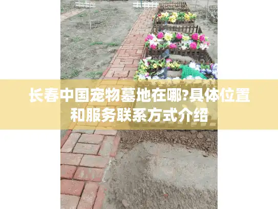 长春中国宠物墓地在哪?具体位置和服务联系方式介绍