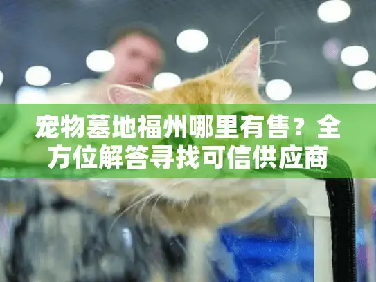 宠物墓地福州哪里有售？全方位解答寻找可信供应商