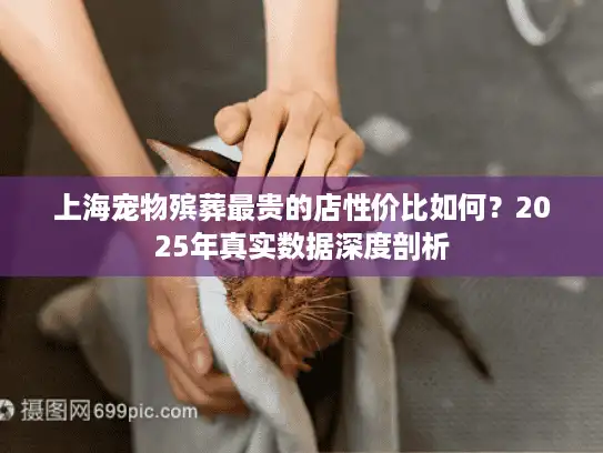 上海宠物殡葬最贵的店性价比如何？2025年真实数据深度剖析