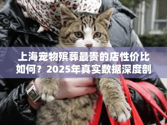上海宠物殡葬最贵的店性价比如何？2025年真实数据深度剖析