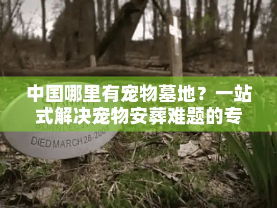 中国哪里有宠物墓地？一站式解决宠物安葬难题的专业指南