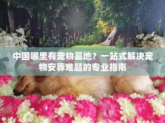 中国哪里有宠物墓地？一站式解决宠物安葬难题的专业指南
