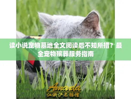 读小说宠物墓地全文阅读后不知所措？最全宠物殡葬服务指南