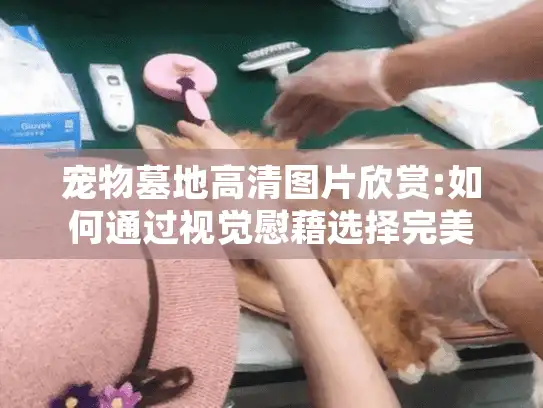 宠物墓地高清图片欣赏:如何通过视觉慰藉选择完美纪念方式?