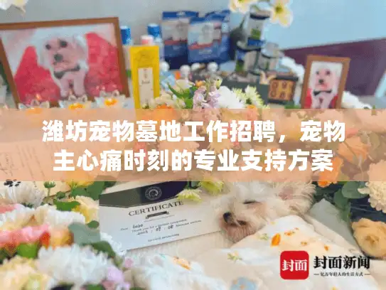 潍坊宠物墓地工作招聘，宠物主心痛时刻的专业支持方案