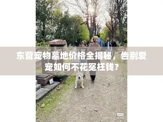 东营宠物墓地价格全揭秘，告别爱宠如何不花冤枉钱？
