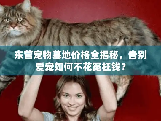 东营宠物墓地价格全揭秘，告别爱宠如何不花冤枉钱？