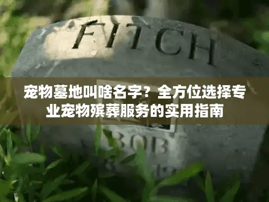 宠物墓地叫啥名字？全方位选择专业宠物殡葬服务的实用指南