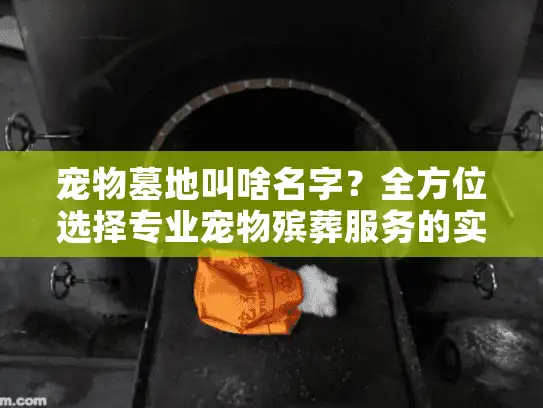 宠物墓地叫啥名字？全方位选择专业宠物殡葬服务的实用指南