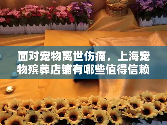 面对宠物离世伤痛，上海宠物殡葬店铺有哪些值得信赖的选择？