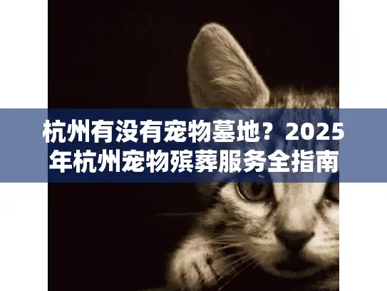 杭州有没有宠物墓地？2025年杭州宠物殡葬服务全指南