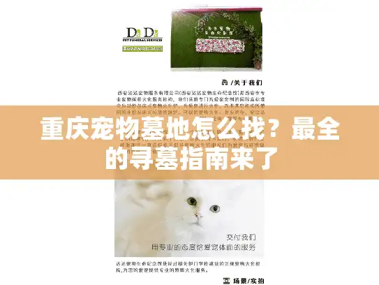 重庆宠物墓地怎么找？最全的寻墓指南来了