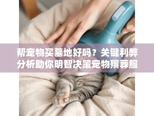 帮宠物买墓地好吗？关键利弊分析助你明智决策宠物殡葬服务