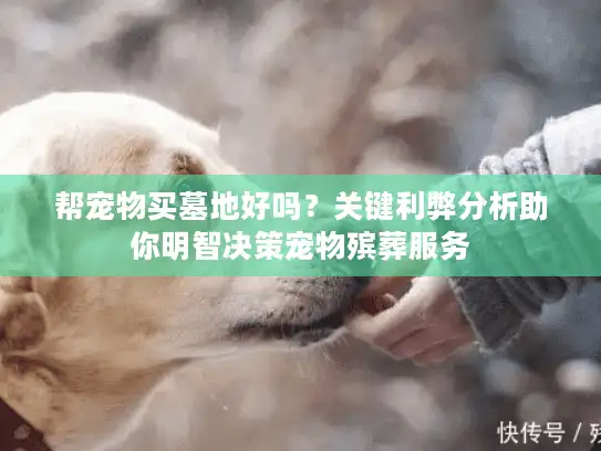 帮宠物买墓地好吗？关键利弊分析助你明智决策宠物殡葬服务