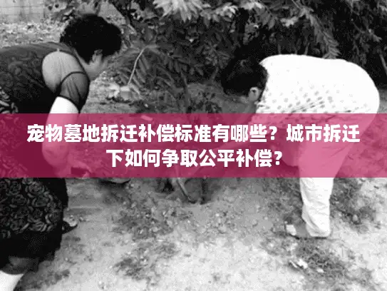 宠物墓地拆迁补偿标准有哪些？城市拆迁下如何争取公平补偿？