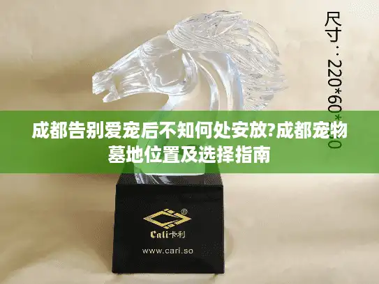 成都告别爱宠后不知何处安放?成都宠物墓地位置及选择指南