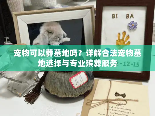 宠物可以葬墓地吗？详解合法宠物墓地选择与专业殡葬服务