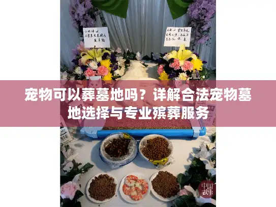 宠物可以葬墓地吗？详解合法宠物墓地选择与专业殡葬服务
