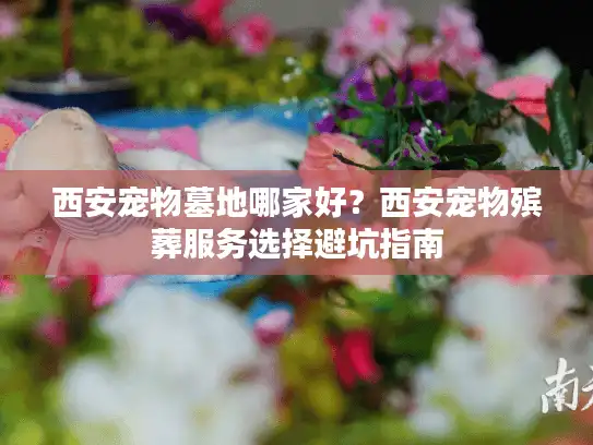 西安宠物墓地哪家好？西安宠物殡葬服务选择避坑指南