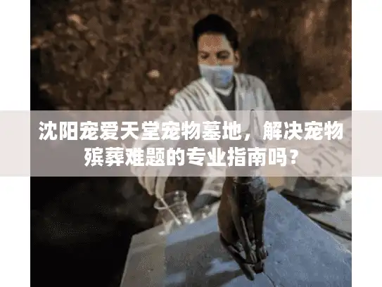 沈阳宠爱天堂宠物墓地，解决宠物殡葬难题的专业指南吗？