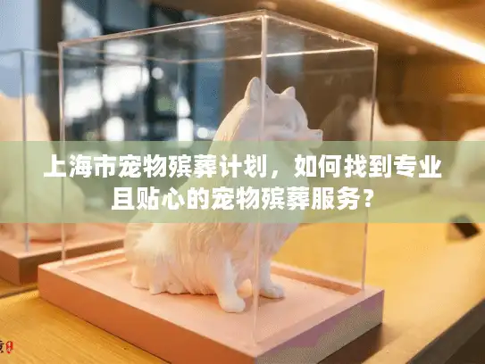 上海市宠物殡葬计划，如何找到专业且贴心的宠物殡葬服务？