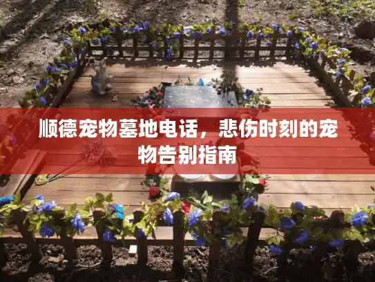 顺德宠物墓地电话，悲伤时刻的宠物告别指南