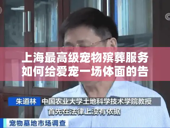 上海最高级宠物殡葬服务如何给爱宠一场体面的告别仪式？