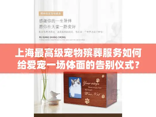 上海最高级宠物殡葬服务如何给爱宠一场体面的告别仪式？