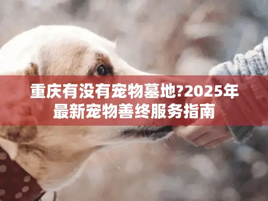 重庆有没有宠物墓地?2025年最新宠物善终服务指南