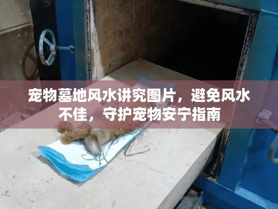 宠物墓地风水讲究图片，避免风水不佳，守护宠物安宁指南