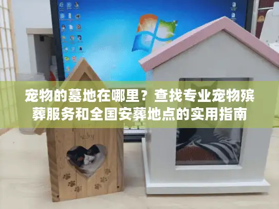 宠物的墓地在哪里？查找专业宠物殡葬服务和全国安葬地点的实用指南