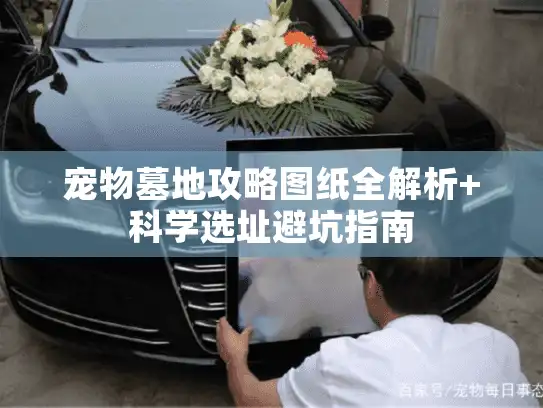 宠物墓地攻略图纸全解析+科学选址避坑指南
