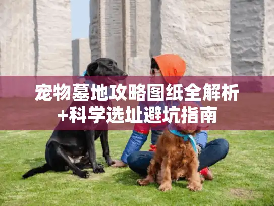 宠物墓地攻略图纸全解析+科学选址避坑指南