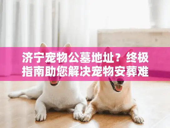 济宁宠物公墓地址？终极指南助您解决宠物安葬难题