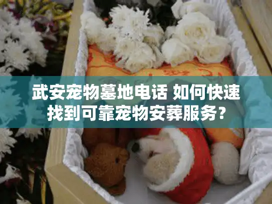 武安宠物墓地电话 如何快速找到可靠宠物安葬服务？