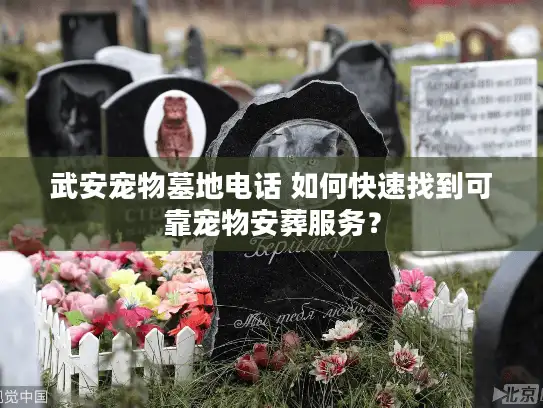 武安宠物墓地电话 如何快速找到可靠宠物安葬服务？