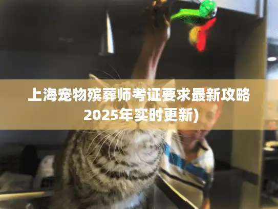 上海宠物殡葬师考证要求最新攻略 2025年实时更新)