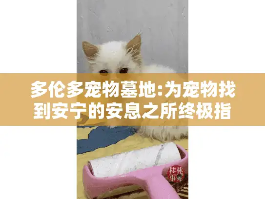 多伦多宠物墓地:为宠物找到安宁的安息之所终极指南
