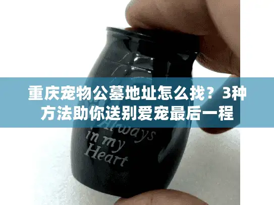 重庆宠物公墓地址怎么找？3种方法助你送别爱宠最后一程