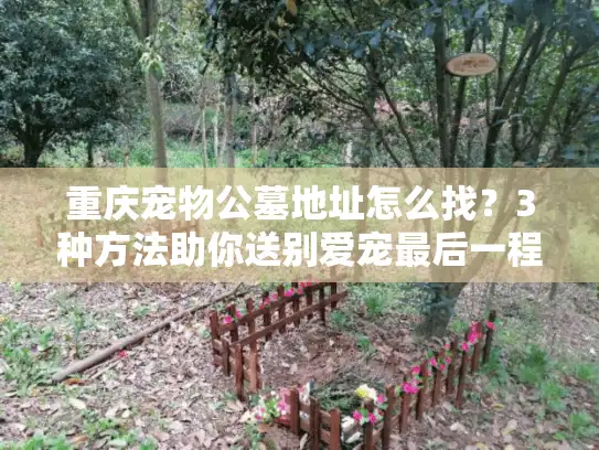 重庆宠物公墓地址怎么找？3种方法助你送别爱宠最后一程