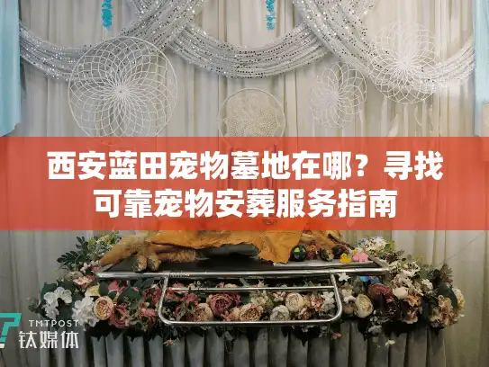 西安蓝田宠物墓地在哪？寻找可靠宠物安葬服务指南