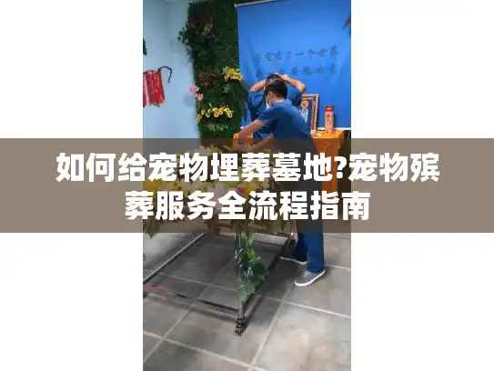 如何给宠物埋葬墓地?宠物殡葬服务全流程指南