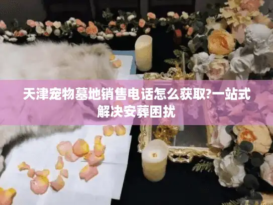 天津宠物墓地销售电话怎么获取?一站式解决安葬困扰