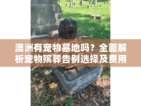 澳洲有宠物墓地吗？全面解析宠物殡葬告别选择及费用参考