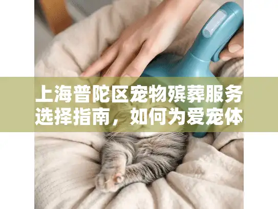 上海普陀区宠物殡葬服务选择指南，如何为爱宠体面告别？