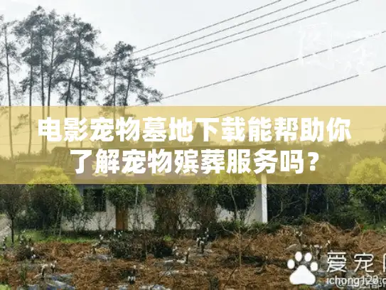 电影宠物墓地下载能帮助你了解宠物殡葬服务吗？