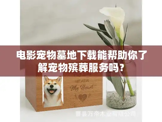 电影宠物墓地下载能帮助你了解宠物殡葬服务吗？