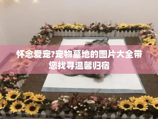 怀念爱宠?宠物墓地的图片大全带您找寻温馨归宿