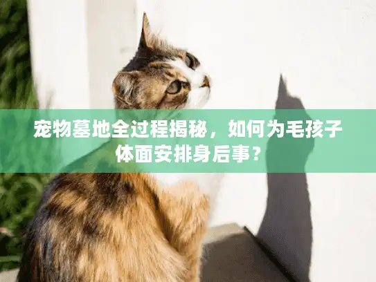 宠物墓地全过程揭秘，如何为毛孩子体面安排身后事？